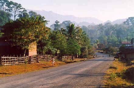 Morning rush hour in rural Laos