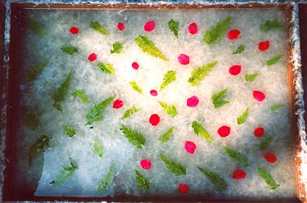 It's wet paper pulp, with greenery and flower petals added!