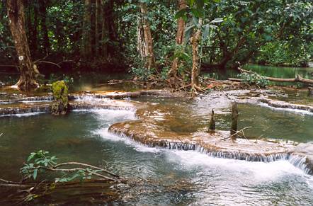 From here I waded across and descended another trail back to the base of the falls.