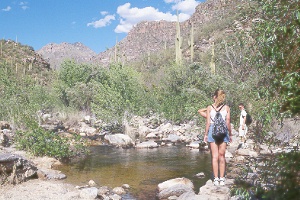 hiking up Bear Canyon in the Santa Catalina Mountains