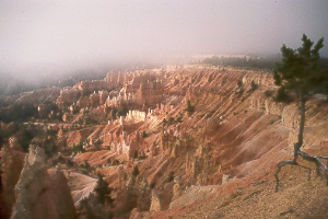 Bryce Amphitheater from Sunrise Point in Bryce Canyon Natl. Park