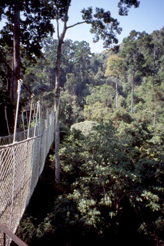 This walkway was scary!