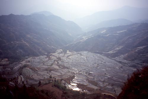 These rice terraces are nearly ready for planting.