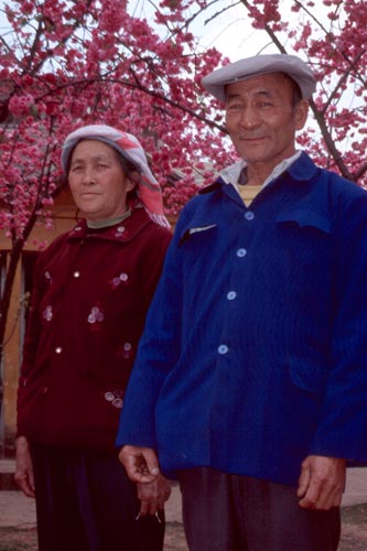 Chinese were lining up to have their portraits taken under the blossoms.