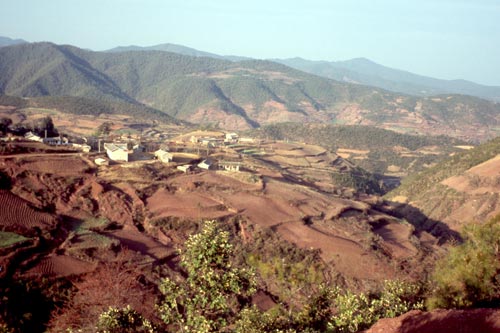 We're in central Yunnan now, with a drier and colder climate than in the south.