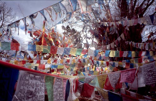 Besides releasing prayers, the flags are said to purify the air and pacify the gods. 
