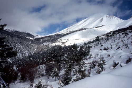 In summer the weather would be warmer but rainier, with a greater chance of landslides.