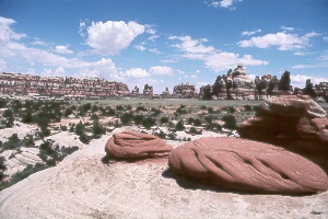 Chesler Park in the Needles District