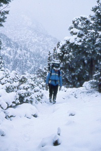 Saddle Mountain Trail after a surprise snowstorm
