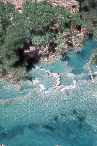 pool below Havasu Falls