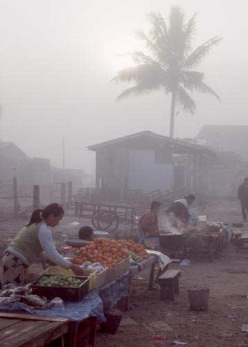 morning fog