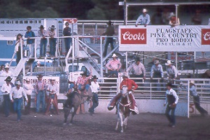 Pine Country Pro Rodeo