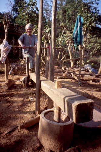 Only people in remote areas still pound their rice this way.