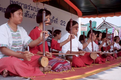 Musicians rotate the instrument--not the bow--to play the other string.