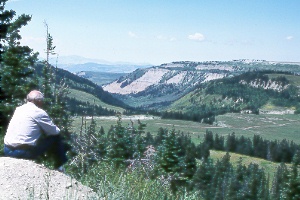 view of the Wasatch Plateau from Skyline Drive