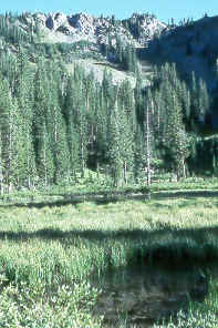 Dog Lake in Big Cottonwood Canyon