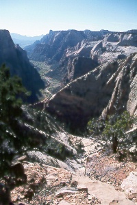 Zion Canyon from Observation Point
