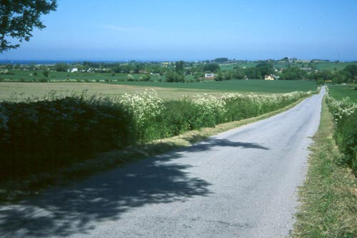 ahh...the open road