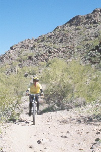 mountain biker in Estrella Mountain Regional Park
