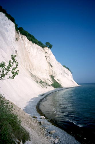 The chalk soil at Mons Klint provides ideal conditions for orchids.