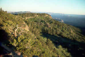 atop Mt. Logan on the Arizona Strip