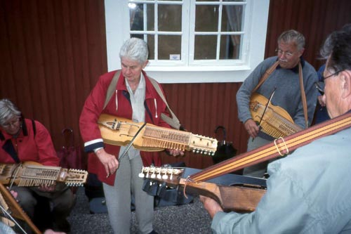 The nyckelharpa has three melody, one drone, and 12 sympathetic strings.