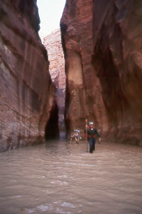 in the Narrows of Paria Canyon