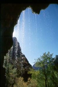 Weeping Rock in Zion Natl. Park